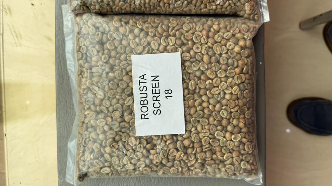 Sample bag of Ugandan natural Robusta green coffee, screen 18